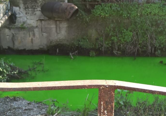 Angri, canale affluente del Sarno diventa verde: “Disastro ambientale”