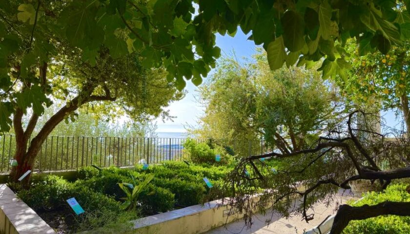 Salerno, vandali notturni nel Giardino della Minerva