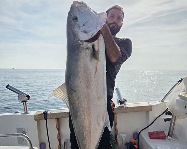 Pescata nel mare di Cetara una ricciola da 45 chili