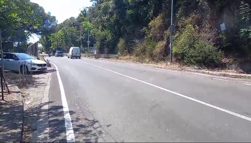 Salerno, ordinanza del sindaco: messa in sicurezza e abbattimento urgenti alberi in via Frà Generoso