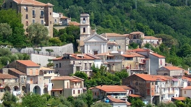 Il cane Napoleone ucciso a fucilate a Torchiara, Lndc denuncia e lancia un appello: “Chi sa parli”