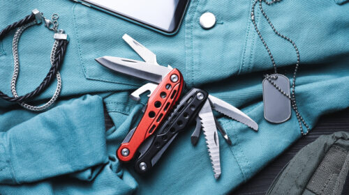 PORTO SEMPRE CON ME UN COLTELLINO SVIZZERO PER LAVORI IN CAMPAGNA MA MI DICONO CHE RISCHIO: È  VERO?