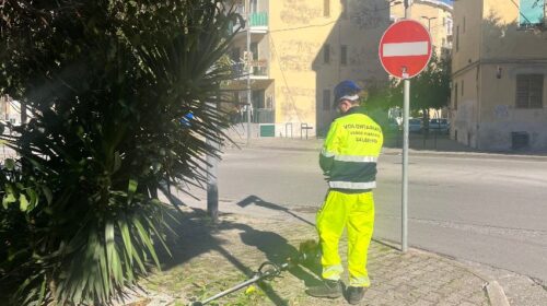 Mattinata di interventi di decoro e sicurezza sul territorio da parte di Volontariato Verde Pubblico Salerno Odv