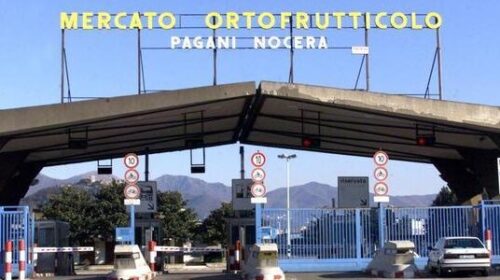  Raccolta rifiuti al Mercato Ortofrutticolo Nocera-Pagani: stato di agitazione proclamato dai lavoratori