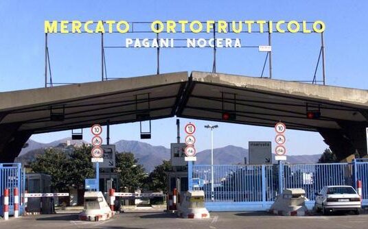 Assemblea ordinaria del Consorzio Ortofrutticolo dell’Agro Nocerino-Sarnese – Decisione unanime per la trasformazione in società di capitali.