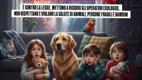 Salerno: Torrione Eventi Aps, Comune, associazione animalista e sindacato Cgil uniti contro i botti Salerno: Torrione Eventi Aps, Comune, associazione animalista e sindacato Cgil uniti contro i botti