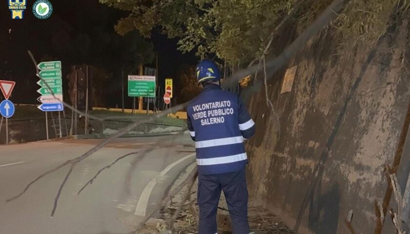 Incontro tra Odv e Comune di Salerno: collaborazione rafforzata per ambiente, decoro urbano e impegno sociale