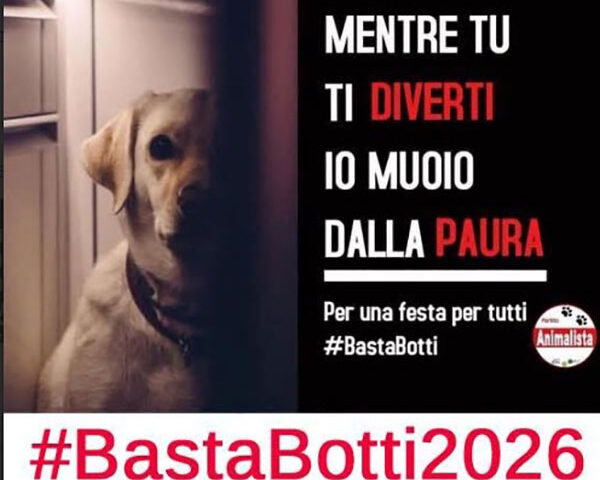 Partita la campagna anti botti del partito animalista