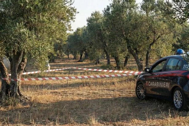 Rutino: uomo trovato senza di vita nelle campagne