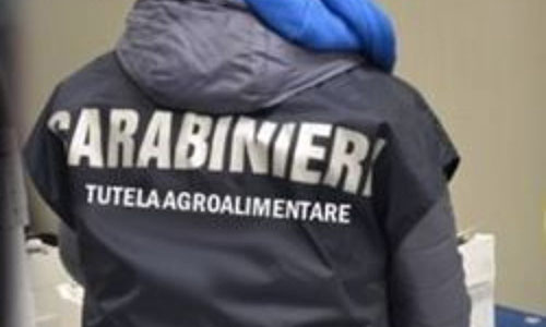 Indagini sul limone Igp in costa d’Amalfi,  verifiche a Minori