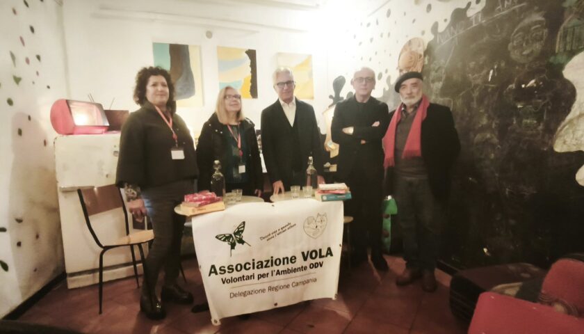 Salerno, via all’iter per un gattile comunale