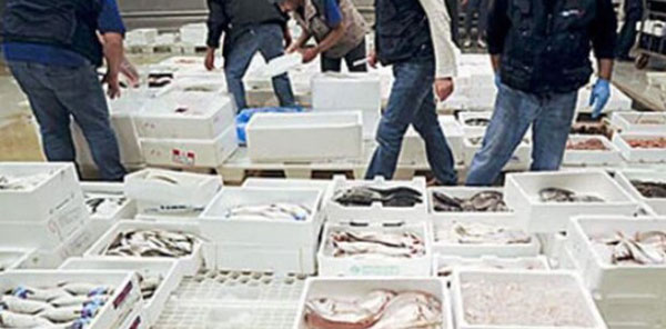 Blitz interforze al Mercato Generale di Salerno: sequestrati chili di pesce non tracciato