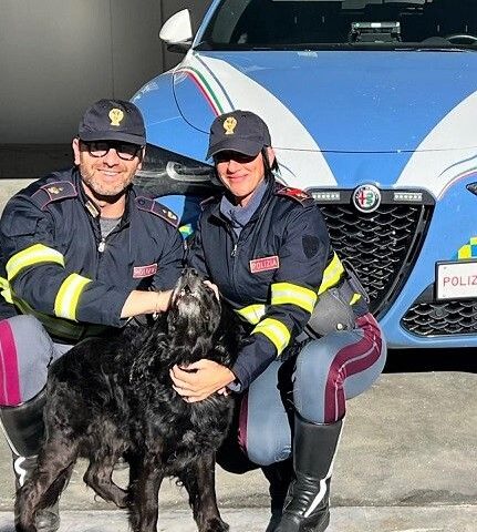 Eboli, la Polizia  salva un cane in Autostradala