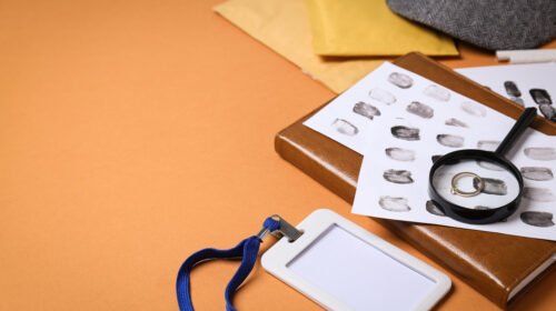 MI DICONO CHE OLTRE IL CASELLARIO GIUDIZIARIO ESISTE ANCHE UN CENTRO ELABORAZIONE DATI: DI COSA SI TRATTA?