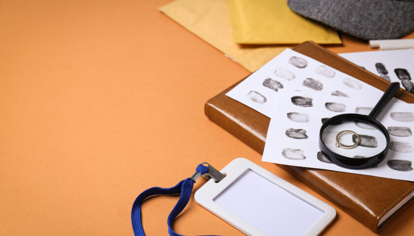 MI DICONO CHE OLTRE IL CASELLARIO GIUDIZIARIO ESISTE ANCHE UN CENTRO ELABORAZIONE DATI: DI COSA SI TRATTA?