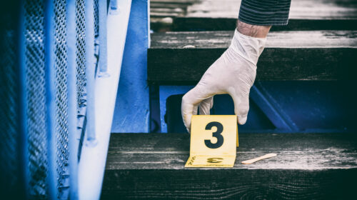 TUTTI I MEDIA IPOTIZZANO UNA REVISIONE DEL PROCESSO DI GARLASCO! MA COSA SUCCEDEREBBE SE L’ATTUALE COLPEVOLE VENISSE PROSCIOLTO?