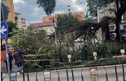 Cava de’ Tirreni, il maltempo provoca caduta di alberi