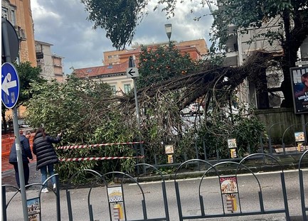 Cava de’ Tirreni, il maltempo provoca caduta di alberi