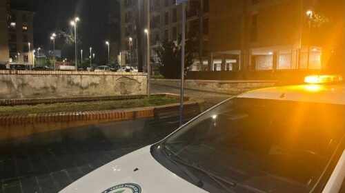 Salerno, Airone ferito a Mariconda: appello dell’associazione Verde Pubblico