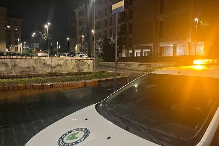 Salerno, Airone ferito a Mariconda: appello dell’associazione Verde Pubblico