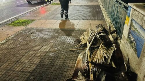 Salerno, allerta meteo vento: volontari in campo per il monitoraggio della fascia costiera Salerno, allerta meteo vento: volontari in campo per il monitoraggio della fascia costiera