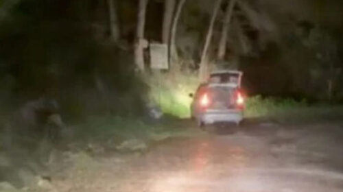 Castellabate, consigliere comunale incastra coppia mentre abbandona rifiuti nel bosco
