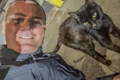 Chiesto arresto per corruzione per consigliere regionale della Campania