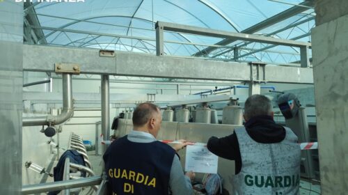 Eboli, controlli in un’azienda zootecnica: sequestrate due strutture abusive