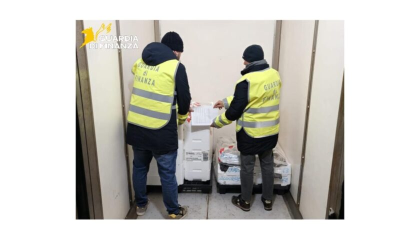Salerno, sotto sequestro 3 quintali di prodotti ittici