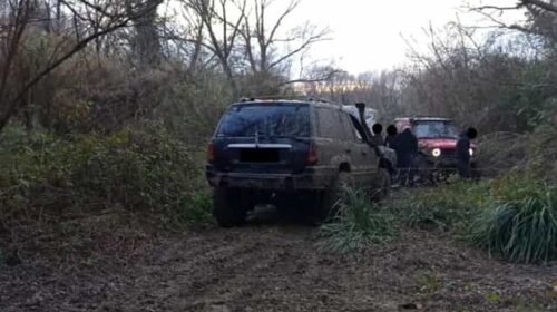 Serre, reati ambientali: controlli e sanzioni Serre, reati ambientali: controlli e sanzioni