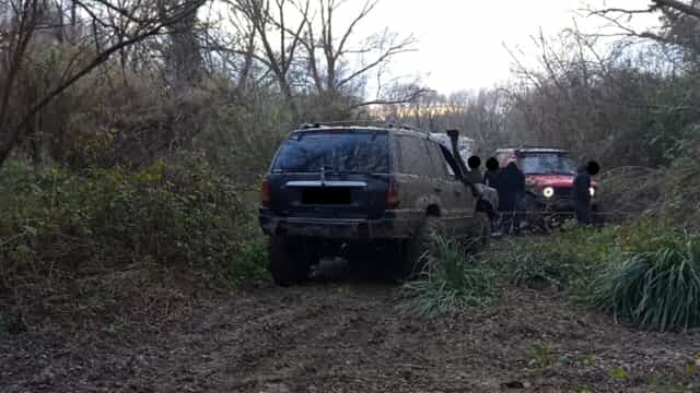 Serre, reati ambientali: controlli e sanzioni