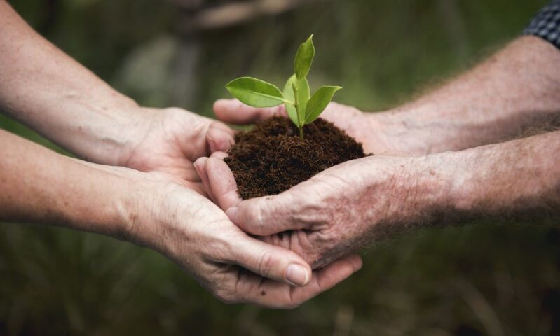 I Green Jobs, i lavori sostenibili del futuro