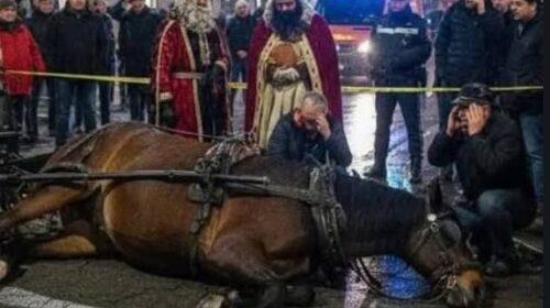 Cavallo morto a Nocera Inferiore: Lndc Animal Protection denuncia e torna a chiedere un cambiamento culturale