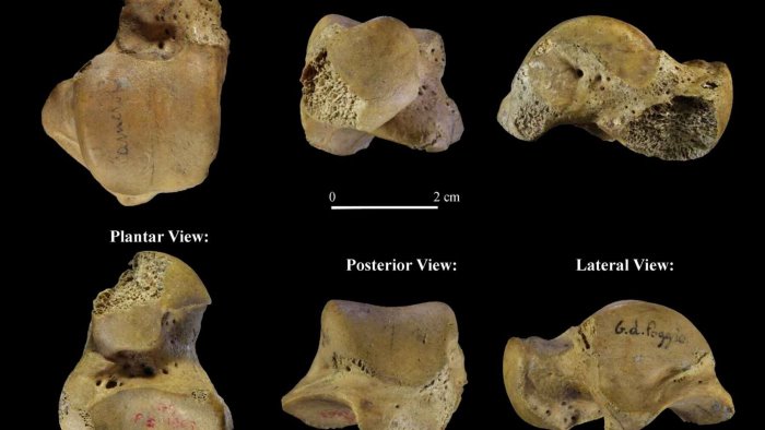 Confermata nel Cilento la presenza di Neanderthal