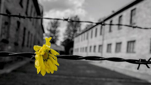 Fisciano, “La Solidarietà” celebra oggi il giorno della Memoria: riflessione e rispetto