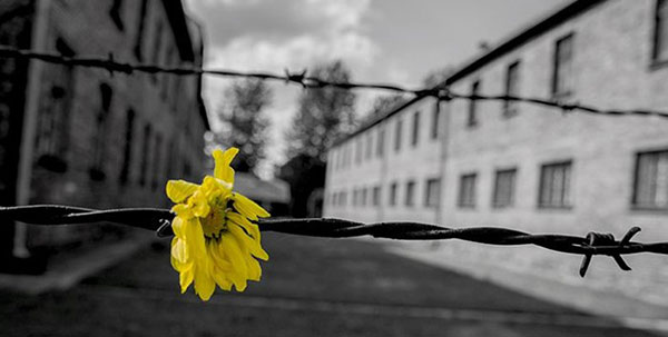 Fisciano, “La Solidarietà” celebra oggi il giorno della Memoria: riflessione e rispetto