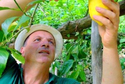 Med Italy Bio, Marzano: la Campania al centro dello sviluppo delle filiere biologiche nazionali