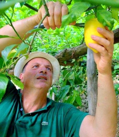 Med Italy Bio, Marzano: la Campania al centro dello sviluppo delle filiere biologiche nazionali