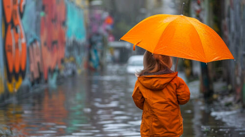 SECONDO LA NORMATIVA COME SI COLLOCA IL GESTO DELL’AUTISTA CHE NON HA ACCOLTO IL MINORE PRIVO DI BIGLIETTO?