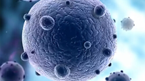 L’Asl Salerno potenzia la sua offerta screening: introdotto il test Hpv Dna (Papilloma virus)