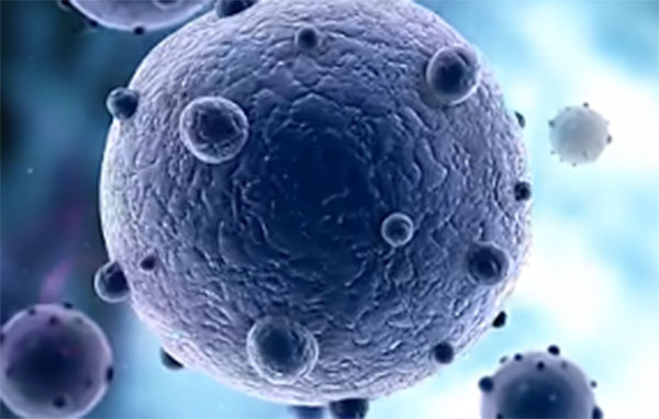 L’Asl Salerno potenzia la sua offerta screening: introdotto il test Hpv Dna (Papilloma virus)