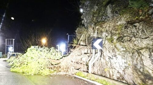 Vietri Sul Mare, albero cade sulla careggiata ad Albori