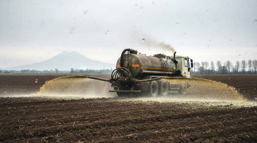 Coldiretti Campania: La Regione sospende il divieto di spandimento degli effluenti zootecnici