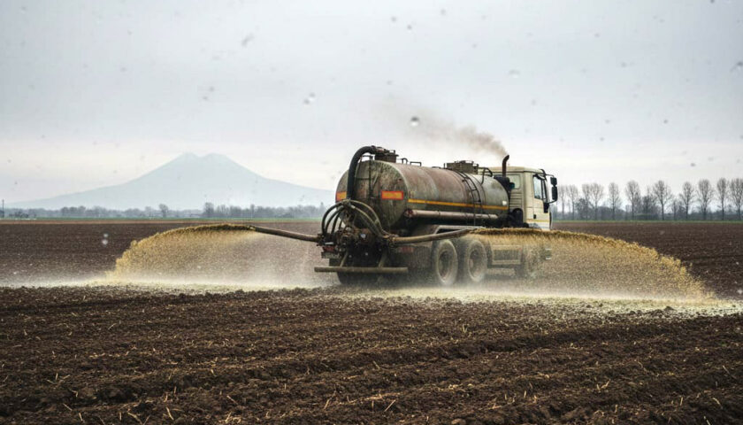 Coldiretti Campania: La Regione sospende il divieto di spandimento degli effluenti zootecnici