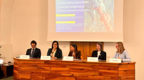 Combattimenti tra cani, Bilotti (M5S): “Subito decreto che sblocchi i fondi per garantire il recupero degli animali”