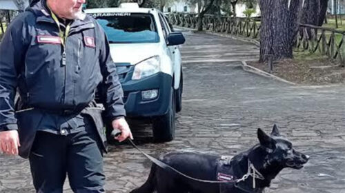 IC Castellabate, missione ambiente per gli alunni con l’agente speciale a 4 zampe Kuba