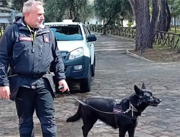 IC Castellabate, missione ambiente per gli alunni con l’agente speciale a 4 zampe Kuba