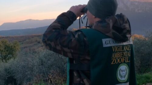 Salerno e provincia, al via l’operazione anti bracconaggio “Fammi volare”