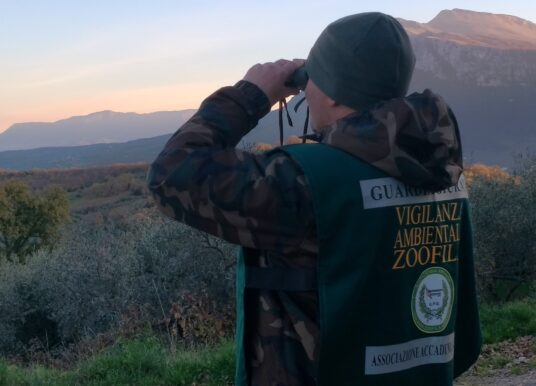 Salerno e provincia, al via l’operazione anti bracconaggio “Fammi volare”