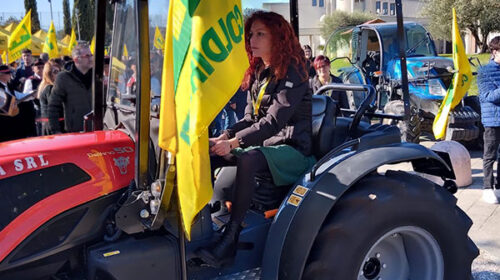 8 marzo: l’agricoltura in Campania è donna, la testimonianza di marina reale